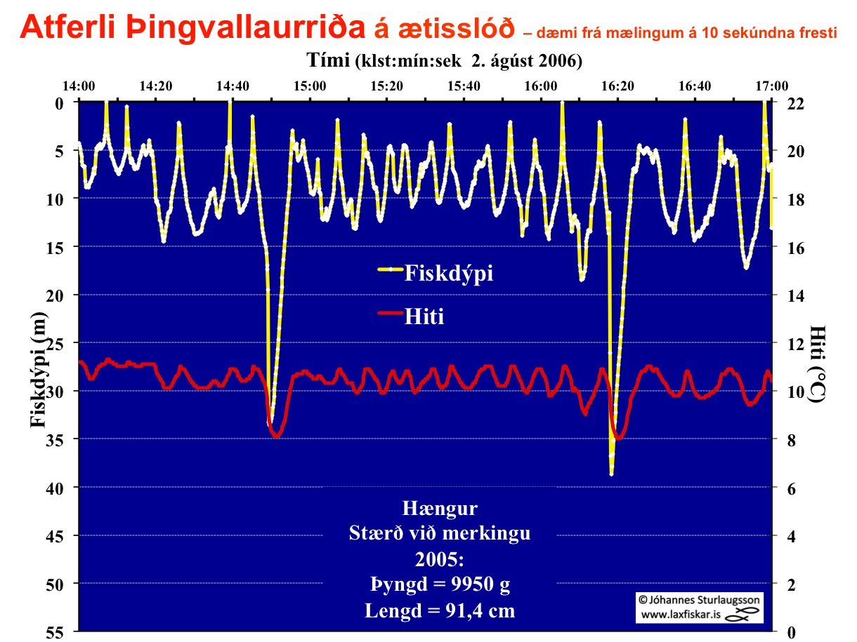 12_thingvallaurridi_fisk_dypi_10_sek_aetisoflun_atferli_thingvallavatn_dst_fish_depth_brown_trout-copyright-js_laxfiskar.is