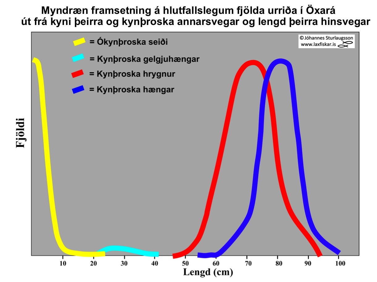 8_thingvallaurridi_rannsoknir_lengd_oxara_thingvallavatn_research_length_brown_trout-copyright-johannes_s_laxfiskar.is