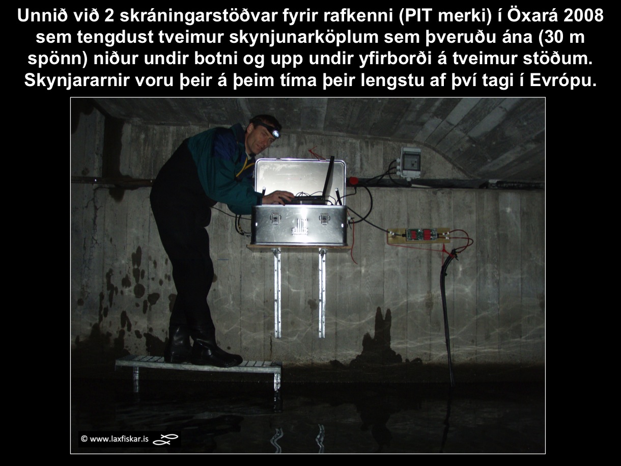 5_thingvallaurridi_rafkenni_oxara_thingvallavatn_erlendur_geirdal_pit_30m_long_antenna_in_2008_brown_trout-laxfiskar.is