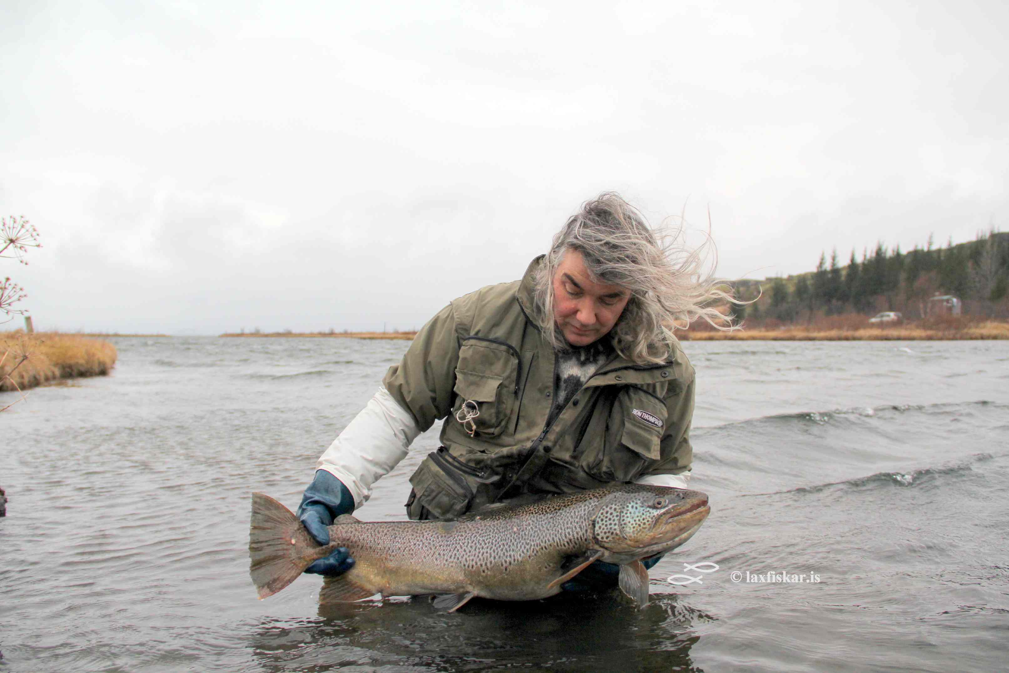 vatnaurridi-staersta_hrygna_islands_95cm_hja_johannes_sturlaugsson_v-brown_trout_oxara_thingvallavatn-copyright-laxfiskar.is