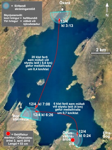 kort_yfir_ferd_urrida_i_april2016_thingvallavatn_laxfiskar