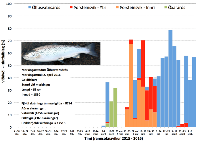 landfraedileg_voktun_a_ferdum_urrida_nr13_2016_thingvallavatn_laxfiskar