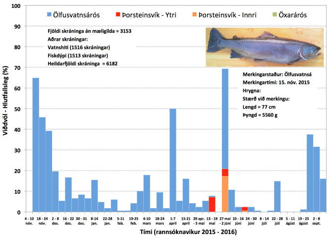 landfraedileg_voktun_urrida_nr4_2015_2016_thingvallavatn_laxfiskar