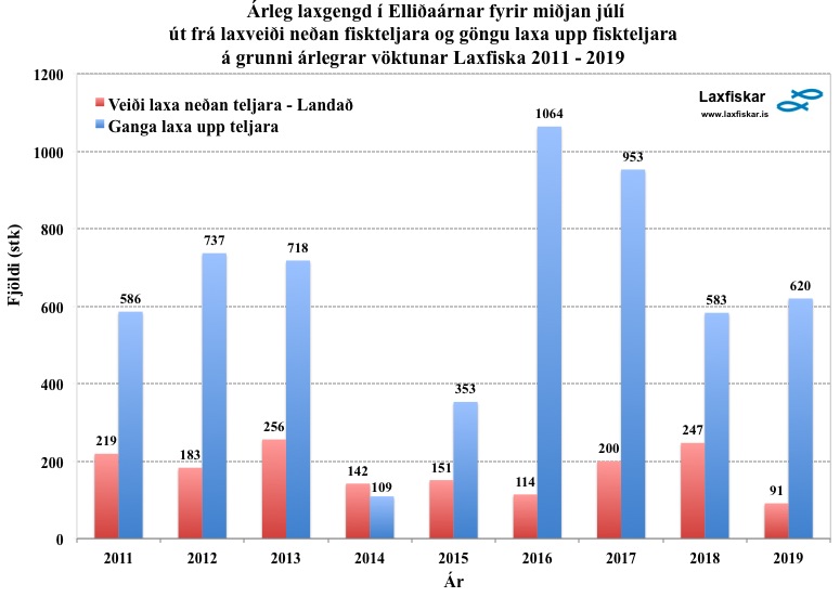 1_ellidar-upphaf_laxagongunnar 2011-2019_johannes_s_laxfiskar