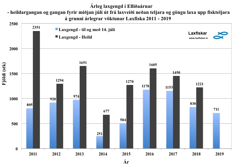 2_ellidar-upphaf_laxagongunnar 2011-2019_johannes_s_laxfiskar