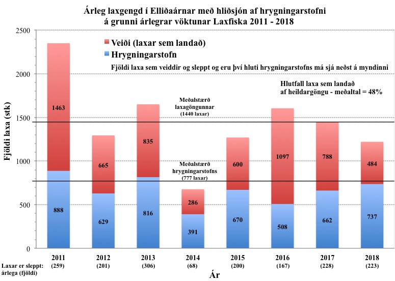 6_arleg ganga lax i ellidaar 2011_2018_vs_hrygningarstofn-johannes sturlaugsson laxfiskar